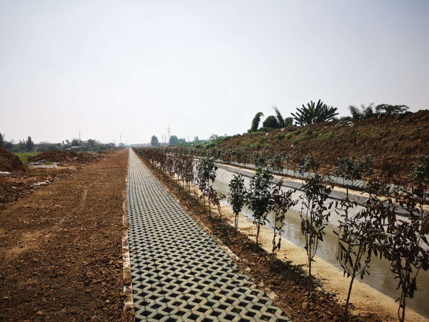 丛树片区南支一渠、十陵河河道改造工程项目完工